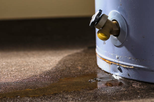 Best Water damage restoration experts  in Oxford, KS