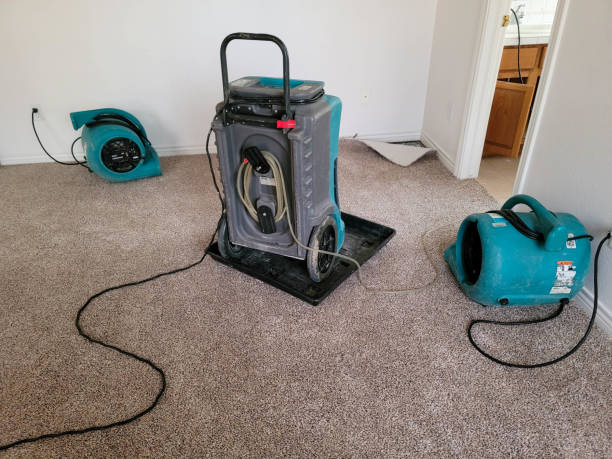 Best Water damage cleanup near me  in Oxford, KS