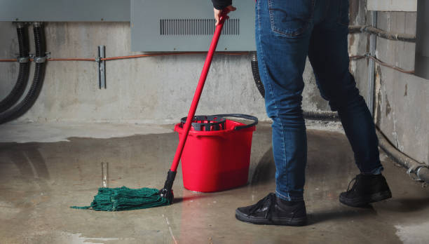 Best Flood damage cleanup  in Oxford, KS