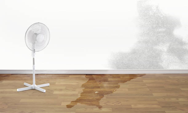 Best Emergency water damage restoration  in Oxford, KS