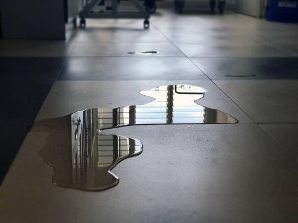 Best Professional water damage repair  in Oxford, KS