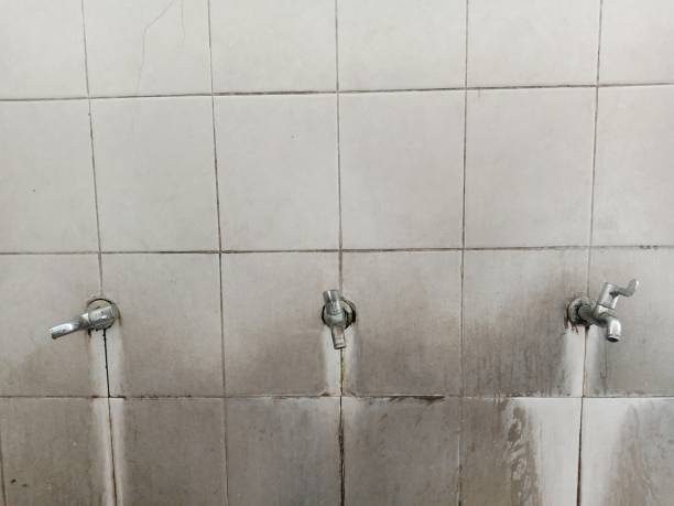 Best Flood restoration services  in Oxford, KS