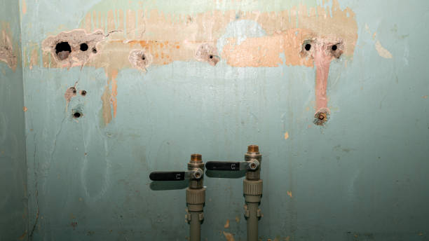 Best Ceiling water damage repair  in Oxford, KS