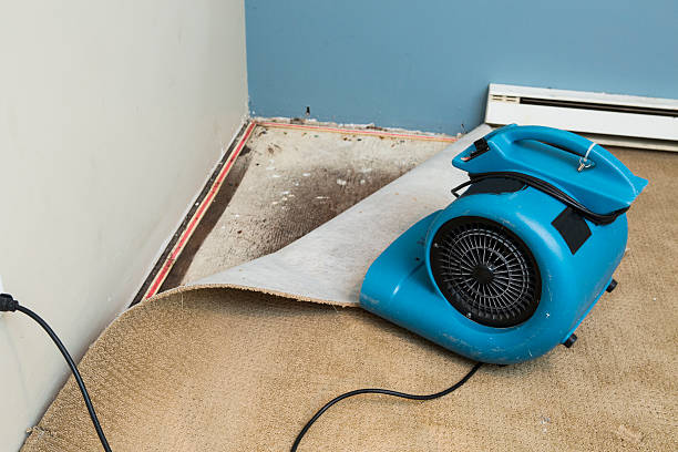 Best 24/7 water damage repair  in Oxford, KS